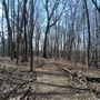 Photo of Tarpy Woods Park