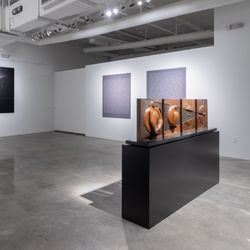 The Wall Art Gallery - Image of a section of the gallery during our solo exhibition for Jiménez Deredia last year.