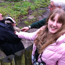 Wildwood Trust