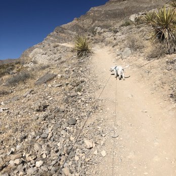 Buckskin Cliff Shadows Trailhead - Hiking Near Me Buckskin Cliff Shadows Trailhead - Hiking Near Me