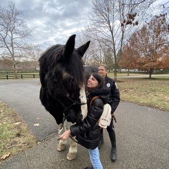 Kentucky Horse Park - Parks Near Me - Lexington, Kentucky Kentucky Horse Park - Parks Near Me - Lexington, Kentucky