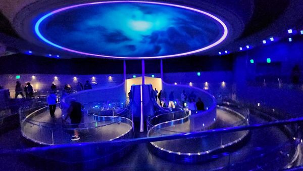 Epcot by null