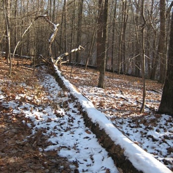 William B Umstead State Park - snow on the company mill trail - Hiking Near Me - Raleigh, North Carolina William B Umstead State Park - snow on the company mill trail - Hiking Near Me - Raleigh, North Carolina