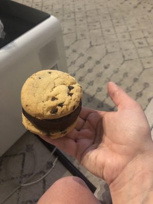 Zsa's Ice Cream by null