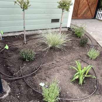 DOV Landscaping - Flowers in! Photo taken prior to final drip install and mulch. - Landscaping Near Me