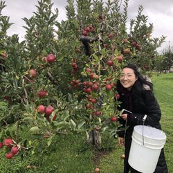 Pick n' Save Orchard