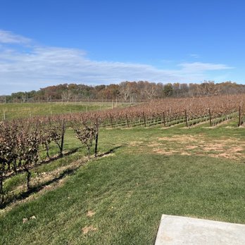 Windridge Vineyards - Wineries Near Me - Darnestown, Maryland