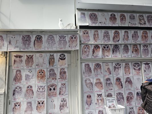Owl Cafe Tokyo by null