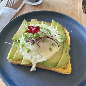 Vibe Cafe - Jus' Avo with Egg - Cafes Near Me - Hilo, Hawaii