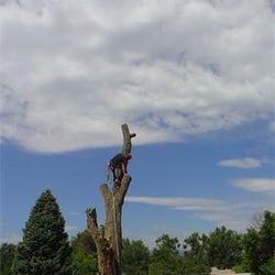 A Climb Above