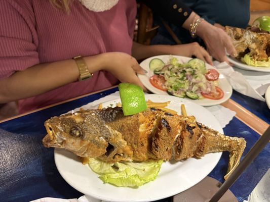 Salmon & Salmon Restaurant by null