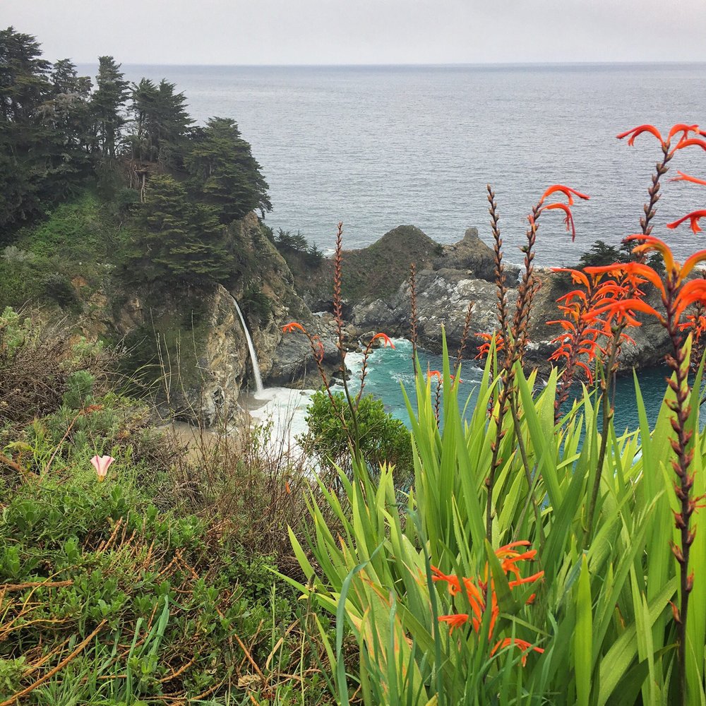 Julia Pfeiffer Burns State Park - McWay Falls - Parks Near Me - Big Sur, California