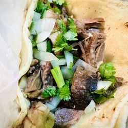 Taqueria El Asadero - Lengua