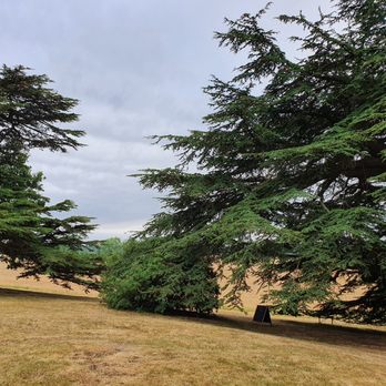 Croome - National Trust - Castles Near Me - Severn Stoke, WOR