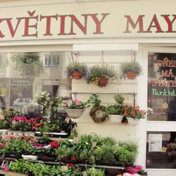 Květiny Maya