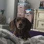 Photo of Elk Creek Animal Hospital