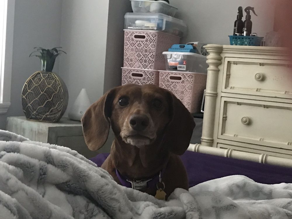 ELK CREEK ANIMAL HOSPITAL Updated September 2024 11 Photos & 14