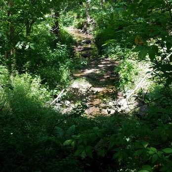 Daubenspeck Community Nature Park - creek in the woods on the north side of the park - Parks Near Me - Indianapolis, Indiana Daubenspeck Community Nature Park - creek in the woods on the north side of the park - Parks Near Me - Indianapolis, Indiana
