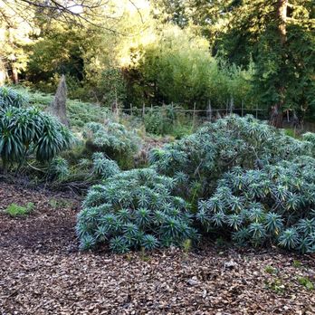 Blake Garden - Cottage garden - Parks Near Me - Kensington, California