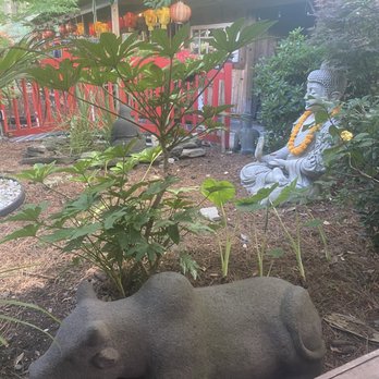 Indochine - Asian Fusion Near Me - Wilmington, North Carolina