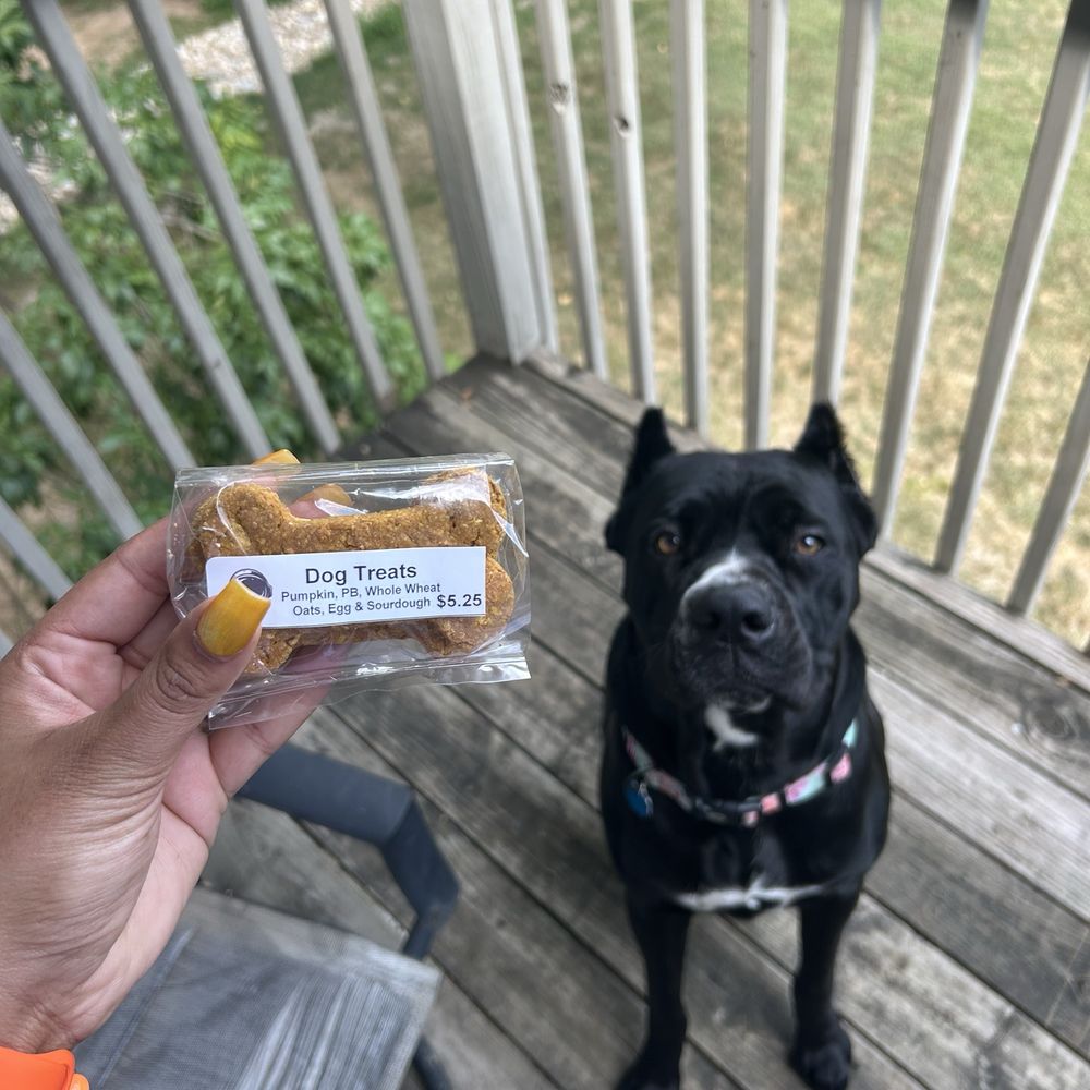 Dog treats