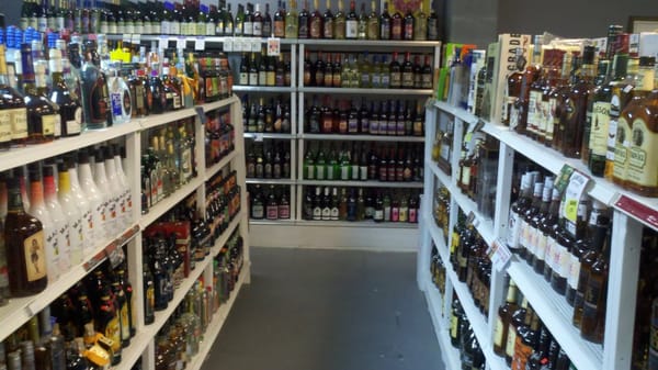 Sunny's Happy Landing