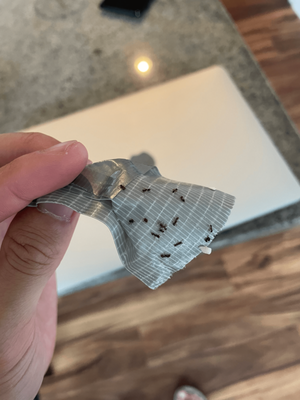 Park Towne Place by null