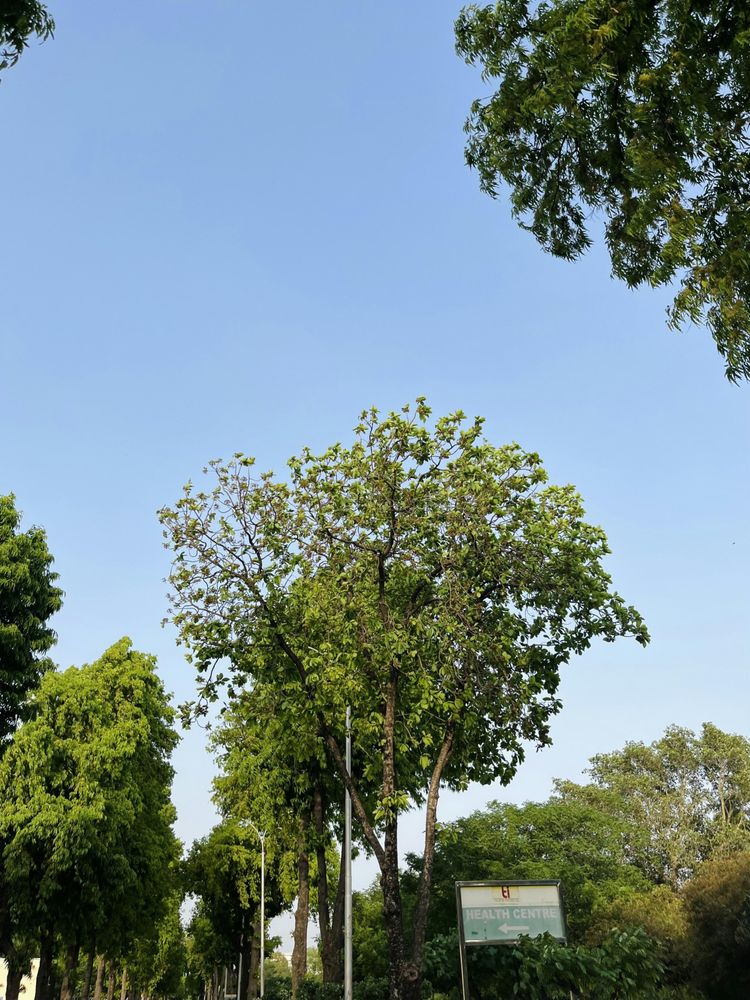 Prima Psychiatry - grief counselor in Fort Collins, CO