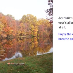 Acupuncture Connecticut - Acupuncture is a very effective treatment for wind born allergies and seasonal allergies.