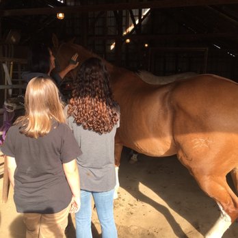 All Star Training - Madison and makayla grooming their school horse - Horseback Riding Near Me - Manteca, California