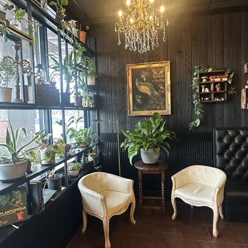 Curiouser Coffee & Elixers - Adorable decor! - Coffee & Tea Near Me - Eagan, Minnesota