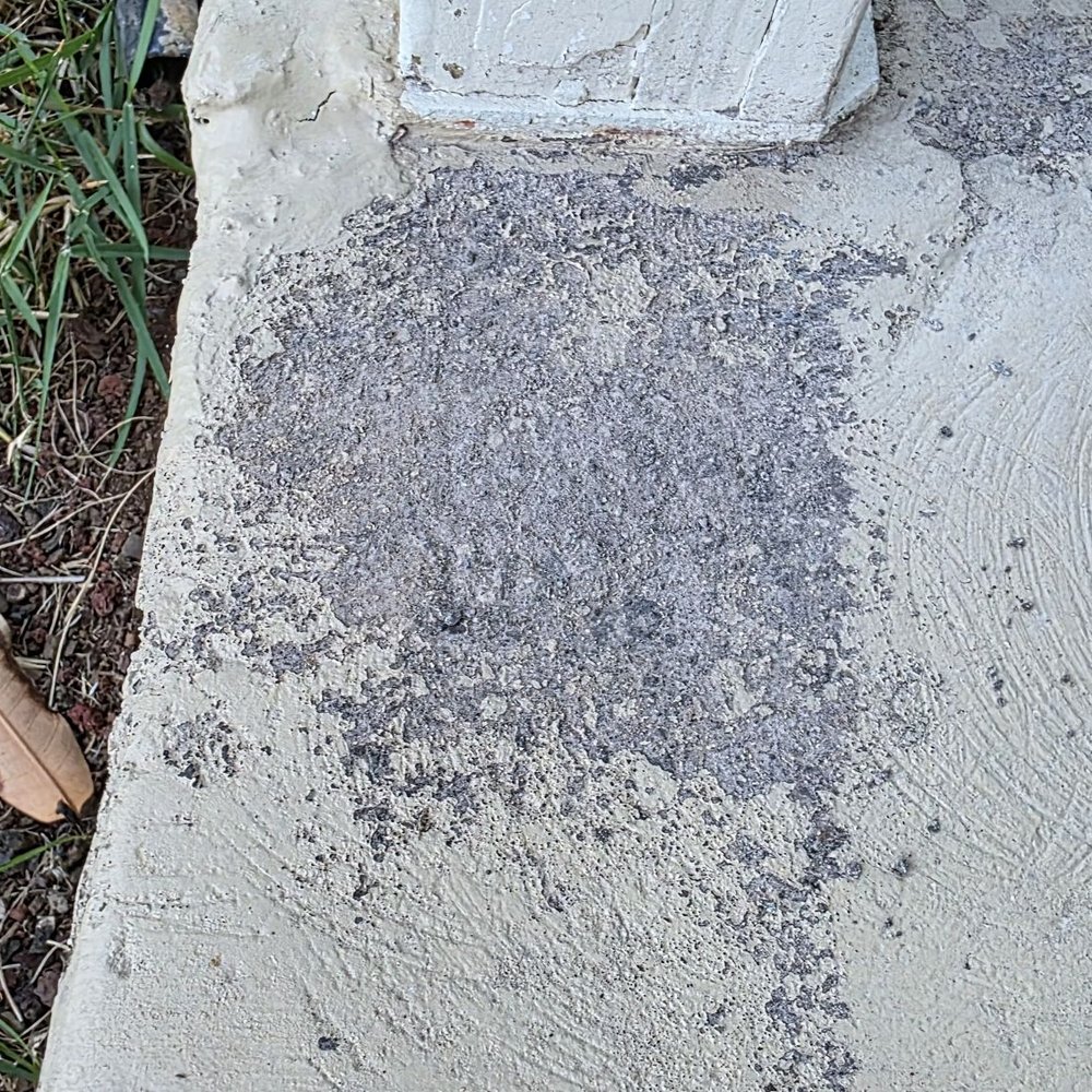 Damon Delaney Art - After only 7 months, his paint already is coming off. - Painters Near Me Damon Delaney Art - After only 7 months, his paint already is coming off. - Painters Near Me