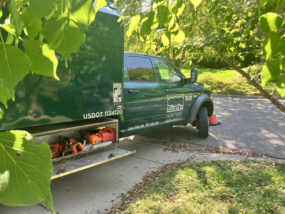 Northern Arborists - tree service in Lake Elmo, MN