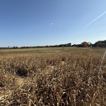 Bowles Farm - Cornfield Maze - Pumpkin Patches Near Me - Clements, Maryland Bowles Farm - Cornfield Maze - Pumpkin Patches Near Me - Clements, Maryland