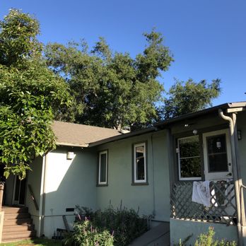Lopez Tree Service - Before shot of tree from backyard - Landscaping Near Me - Altadena , California