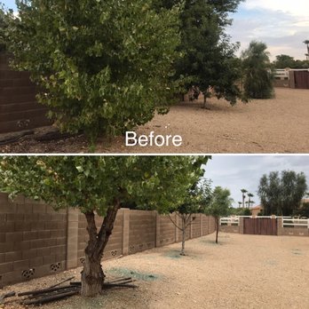 Solera Landscaping - A little tree work. - Landscaping Near Me Solera Landscaping - A little tree work. - Landscaping Near Me