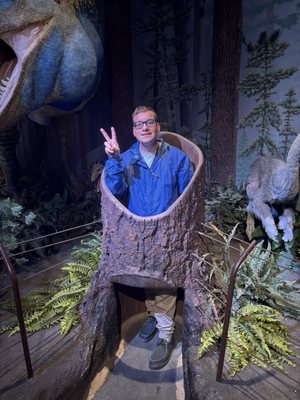 Arizona Museum of Natural History by null