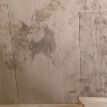 55+ FountainGlen Temecula - These are strains from mold and mildew growth in Apt #B105 Management tried to mop then up did not work Maintenance Supervisor Juan Colon - Apartments Near Me - Temecula, California 55+ FountainGlen Temecula - These are strains from mold and mildew growth in Apt #B105 Management tried to mop then up did not work Maintenance Supervisor Juan Colon - Apartments Near Me - Temecula, California