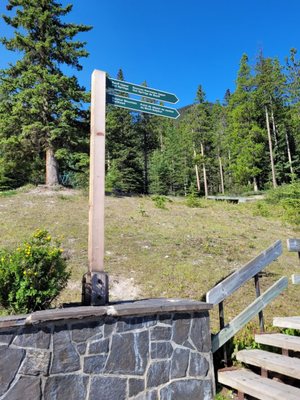 Banff Upper Hot Springs by null
