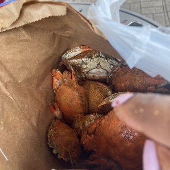 Cameron's Seafood - Females 25/dozen very small - Seafood Near Me - Capitol Heights, Maryland