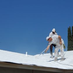 Visalia Painting - Alfredo painting my roof.