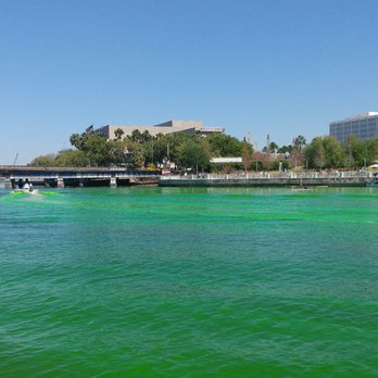 Mayor's River O' Green - Festivals Near Me - Tampa, Florida Mayor's River O' Green - Festivals Near Me - Tampa, Florida