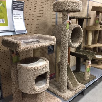 PetSmart - Pet Training Near Me - HONOLULU, Hawaii PetSmart - Pet Training Near Me - HONOLULU, Hawaii