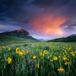 Crested Butte Fine Art Gallery