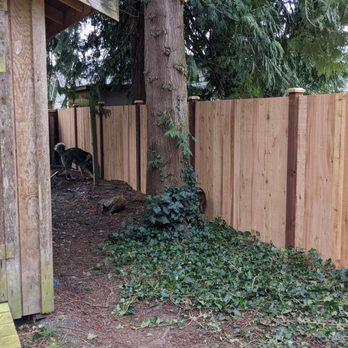 All In Construction and Landscaping - Fences & Gates Near Me - Sedro Woolley, Washington All In Construction and Landscaping - Fences & Gates Near Me - Sedro Woolley, Washington