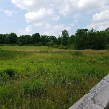 John Craddock Wetland Nature Preserve - lots of green even though there hadn't been much rain lately - Parks Near Me - Muncie, Indiana John Craddock Wetland Nature Preserve - lots of green even though there hadn't been much rain lately - Parks Near Me - Muncie, Indiana
