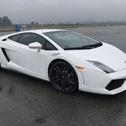 North Shore Exotics