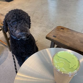 Aroom Coffee - Pandan - Coffee & Tea Near Me - Seattle, Washington Aroom Coffee - Pandan - Coffee & Tea Near Me - Seattle, Washington
