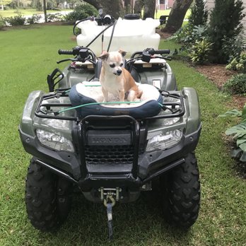 Porter's Pest Control - Nothing shows how safe your chemicals are like taking a 10lb dog with you to do a broadcast treatment. - Pest Control Near Me Porter's Pest Control - Nothing shows how safe your chemicals are like taking a 10lb dog with you to do a broadcast treatment. - Pest Control Near Me