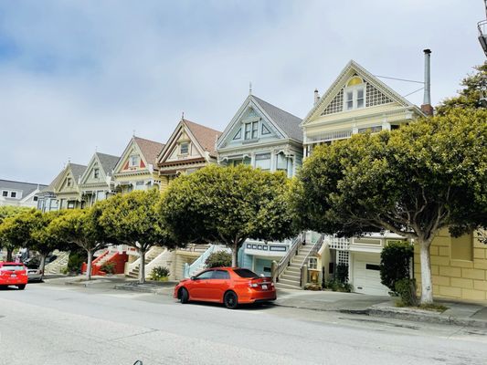 The Painted Ladies by null